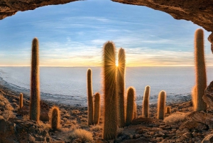 Fra San Pedro de Atacama: Uyuni Salt Flats 3 dager i gruppe