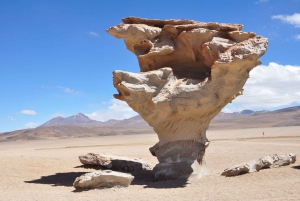 Fra San Pedro de Atacama: Uyuni Salt Flats 3 dager i gruppe