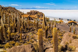 From Sucre: Excursion to the Uyuni Salt Flat - 2 Days