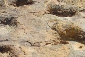 Sucresta | Maraguan kraatteri ja dinosaurusten jalanjäljet | 1 päivä