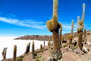 Von Sucre aus: Uyuni Salzsee Tour 2 Tage 1 Nacht