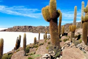 Fra Sucre: Uyuni salt flat tour 2 dager 1 natt