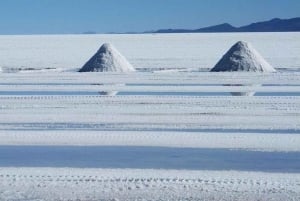 Fra Sucre: Uyuni salt flat tour 2 dager 1 natt