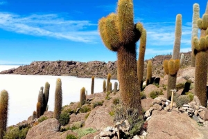 Depuis Sucre : Visite du salar d'Uyuni 2 jours 1 nuit