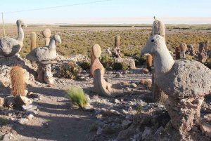 From Sucre: Uyuni Salt Flats 2-Day Tour with Bus Transfers