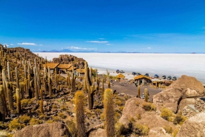 Från Uyuni: Dagstur på cykel till Salar de Uyuni + lunch