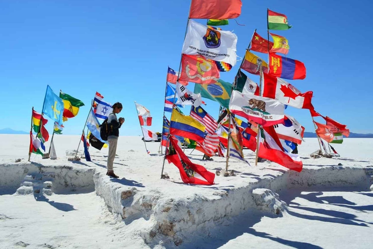 Von Uyuni aus: 1 Tag Uyuni Salzwüste und Incahuasi Insel