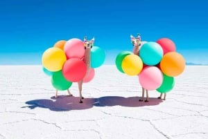 Von Uyuni aus: 1 Tag Uyuni Salzwüste und Incahuasi Insel