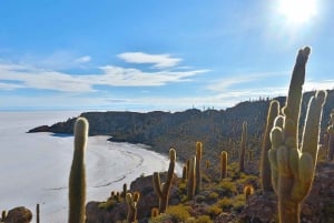 From Uyuni: 3-Day Salar de Uyuni and Lagoons Tour