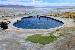 From Uyuni: 3-Day Salar de Uyuni and National Reserve Tour