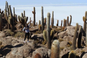 Depuis Uyuni : 3 jours de visite du Salar d'Uyuni et de la réserve nationale