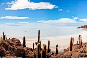 From Uyuni: 3-Day Uyuni Salt Flats and Laguna Colorada Tour