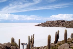 Vanuit Uyuni:3-daags bezoek aan Laguna Colorada en Salar de Uyuni