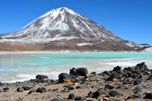 Von Uyuni aus: 3-tägiger Besuch der Laguna Colorada und des Salar de Uyuni