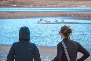 Desde Uyuni: Excursión de 3 días - Salar - Final en San Pedro