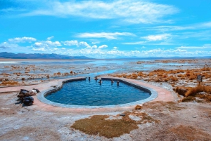 Fra Uyuni: 3-dages tur - saltsletter - afslutning i San Pedro