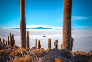 Z Uyuni: całodniowa wycieczka z przewodnikiem do Salar de Uyuni