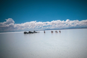 Au départ d'Uyuni : Journée complète d'excursion guidée à Salar de Uyuni