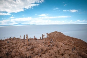 Au départ d'Uyuni : Journée complète d'excursion guidée à Salar de Uyuni