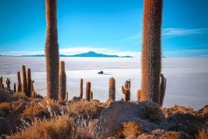Fra Uyuni: Heldags guidet tur til Salar de Uyuni