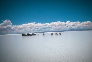 Fra Uyuni: Heldags guidet tur til Salar de Uyuni