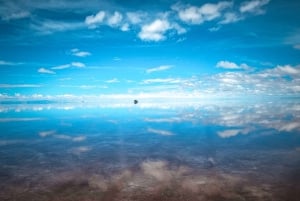 Fra Uyuni: Heldags guidet tur til Salar de Uyuni