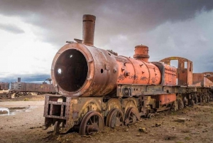 Fra Uyuni: Geysir og saltsletter i Uyuni 3-dagers | Flamingoer