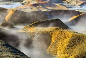 Fra Uyuni: Geysir og saltsletter i Uyuni 3-dagers | Flamingoer