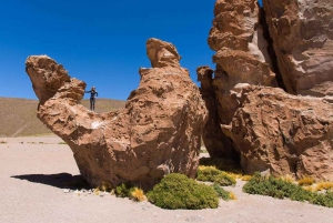 Vanuit Uyuni: Geiser en Uyuni Zoutvlaktes 3-Dagen | Flamingo's