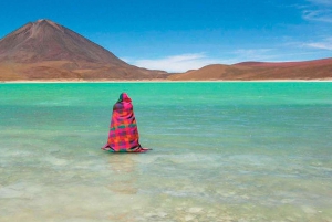 Fra Uyuni: Geysir og Uyuni Salt Flats 3-dages | Flamingoer |.