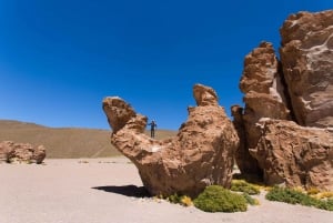 From Uyuni: Laguna Colorada and Salar de Uyuni 3-Day + Meals