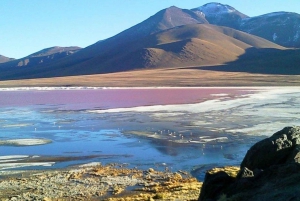 From Uyuni: Laguna Colorada and Salar de Uyuni 3-Day Tour