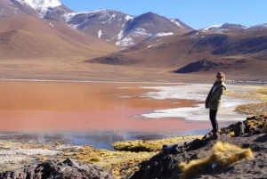 From Uyuni:Laguna Colorada and Salar de Uyuni 3 Days + Meals