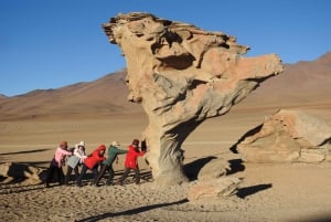 Fra Uyuni: Rød lagune og Uyuni saltsletter 3-dages guidet tur