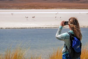 Från Uyuni: Röd lagun & Uyuni Salt Flats 3-dagars guidad tur