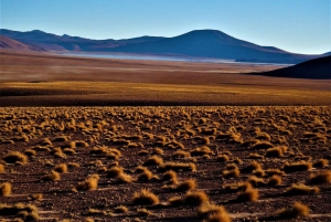 Z Uyuni: Salar de Uyuni 3 dni 2 noce