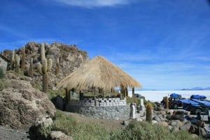 Vanuit Uyuni: Salar de Uyuni met Incahuasi eiland - Hele dag