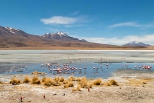 Uyuni: 3 day-tour, salt flats & surrealistic deserts