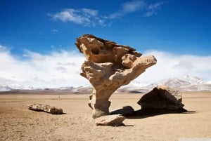 From Uyuni: Salt Flats Highlights Jeep Tour with Lunch