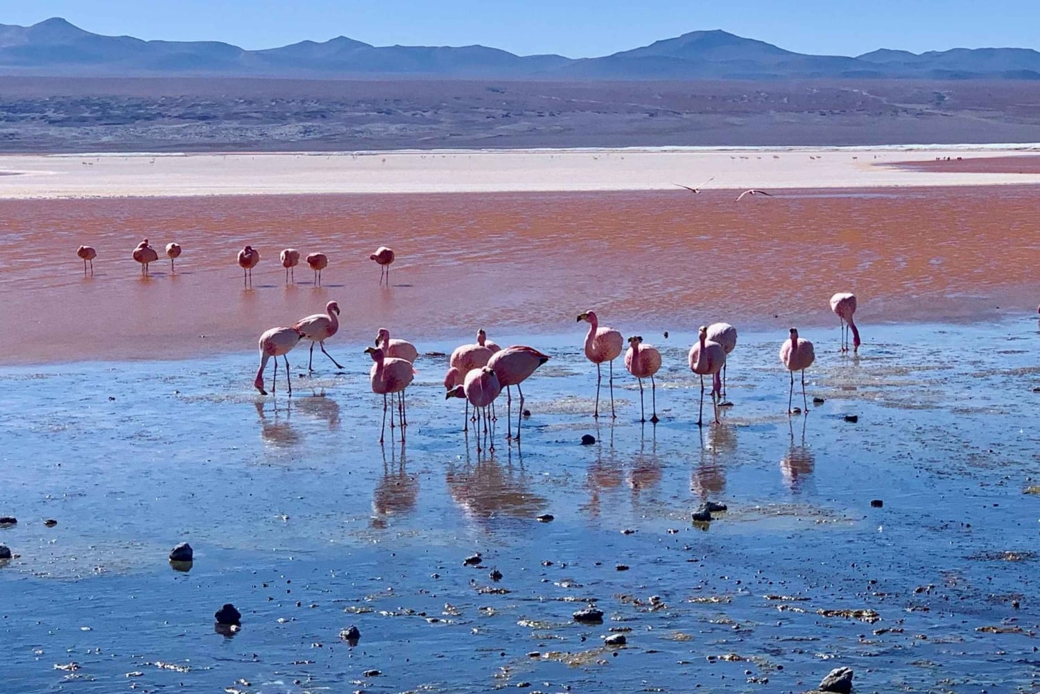 fra Uyuni: Uyunis saltslette 3 dager