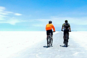 Ab Uyuni: Uyuni Salt Flats Bike Tour 1-Tag + Mittagessen