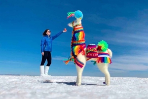 From Uyuni: Uyuni Salt Flats Tour + Photoshoot + Sunset