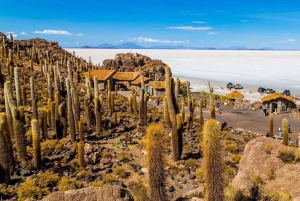 Fra Uyuni: Tur på saltslettene i Uyuni + fotoshoot + solnedgang