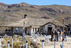 Vanuit Uyuni: Uyuni Zoutvlaktes met Incahuasi Eiland |Volledige dag