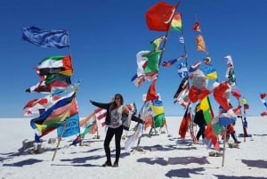 Geyser e Salar de Uyuni 3 giorni | Fenicotteri