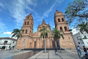 Wycieczka kulinarna z przewodnikiem: Santa Cruz de la Sierra