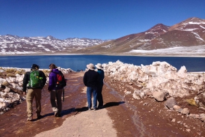 Highlights of Altiplano in an 4WD Overland Expedition