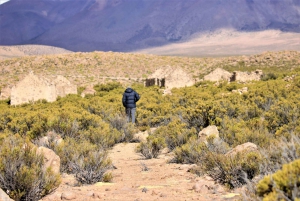 Høydepunkter fra Altiplano i en 4WD Overland-ekspedisjon