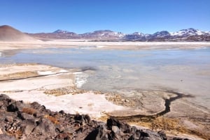 Highlights of Altiplano in an 4WD Overland Expedition