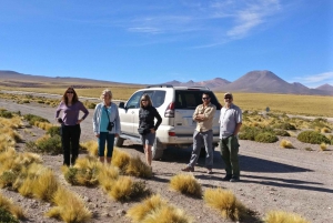 Highlights of Altiplano in an 4WD Overland Expedition